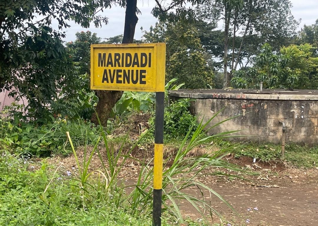 Maridadi Avenue